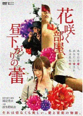 龙珠剧场版1布尔玛角色形象